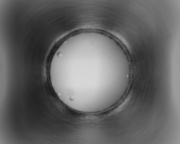 X0000093100974200709260924