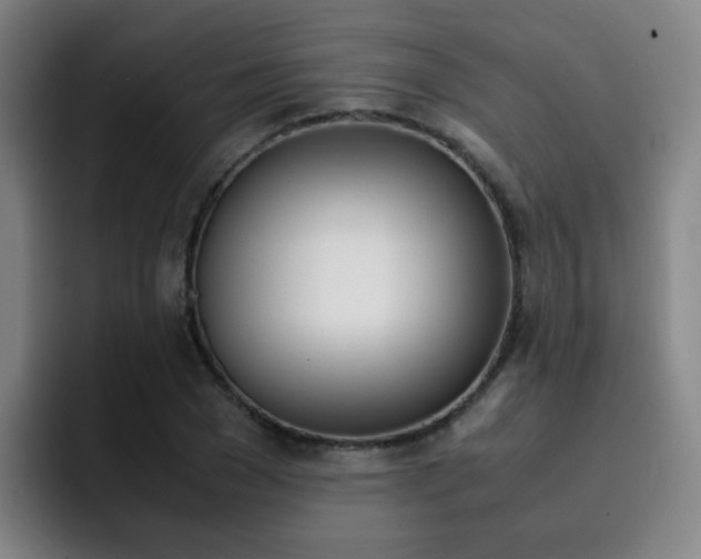 X0000093100977200709260924