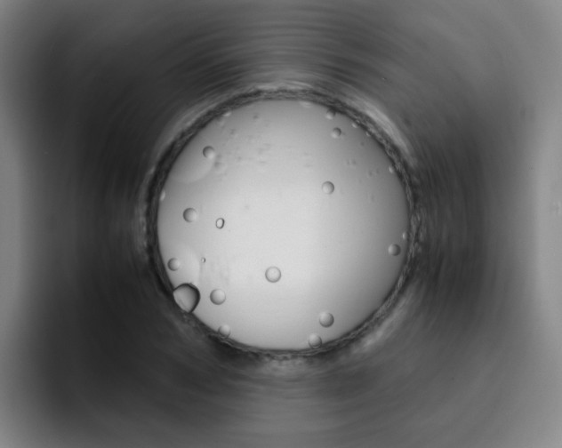 X0000093100978200709260924