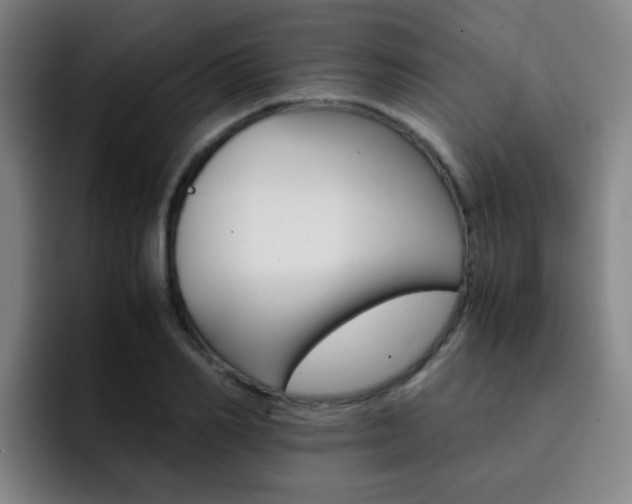 X0000093100982200709260924