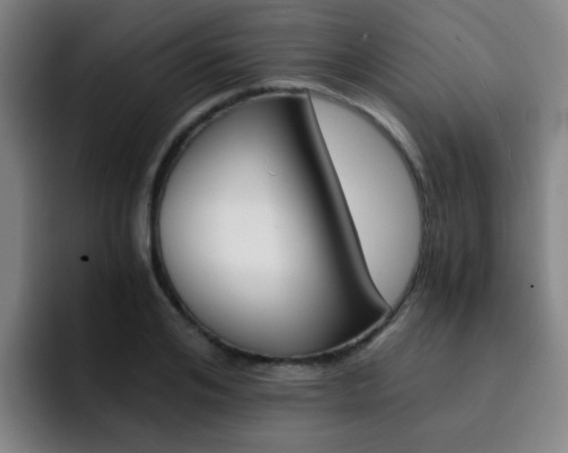 X0000093100984200709260924