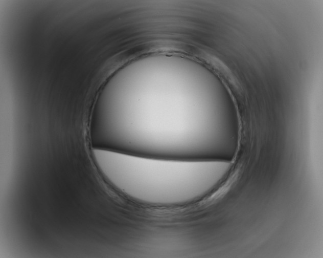X0000093100985200709260924