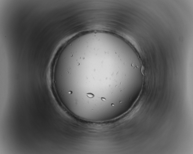X0000093100987200709260924