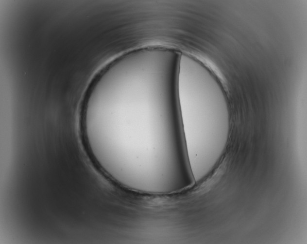 X0000093100991200709260924