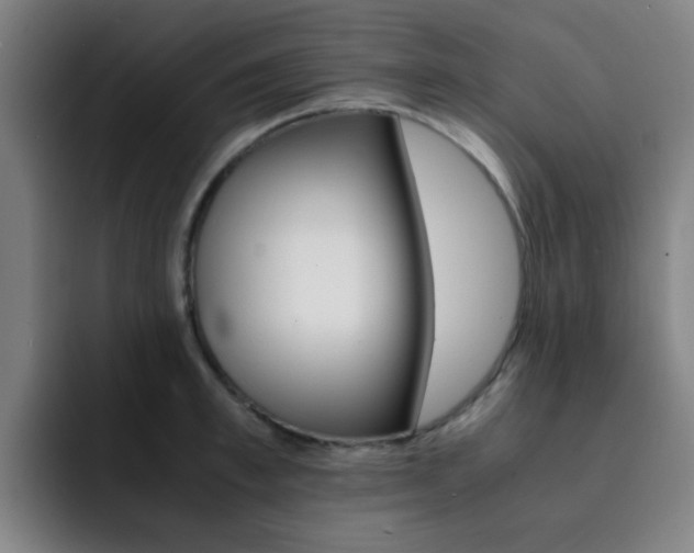 X0000093100997200709260924