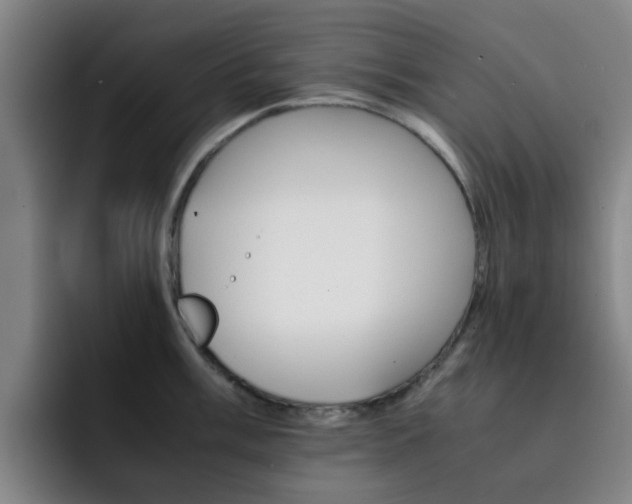 X0000093101003200709260924