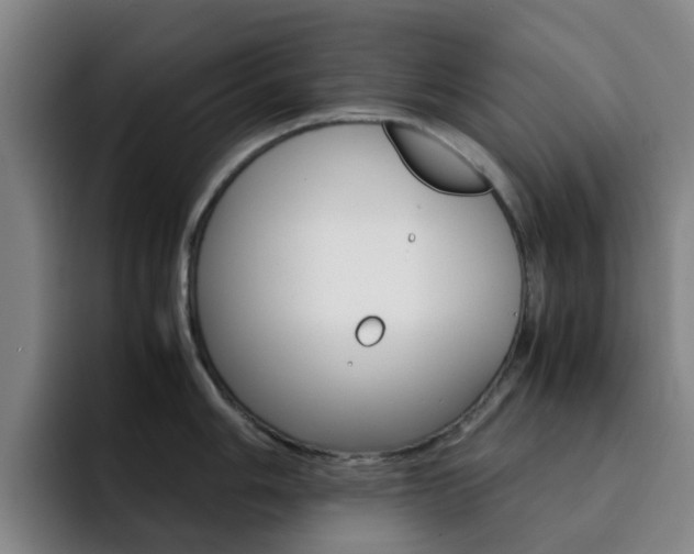 X0000093101006200709260924