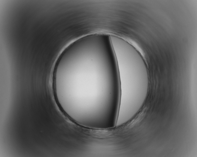 X0000093101007200709260924