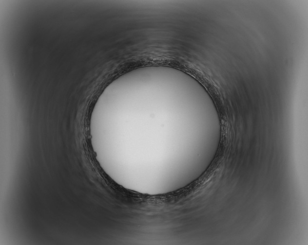 X0000093101009200709260923