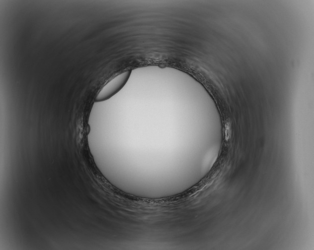X0000093101011200709260923