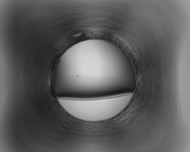 X0000093101012200709260923