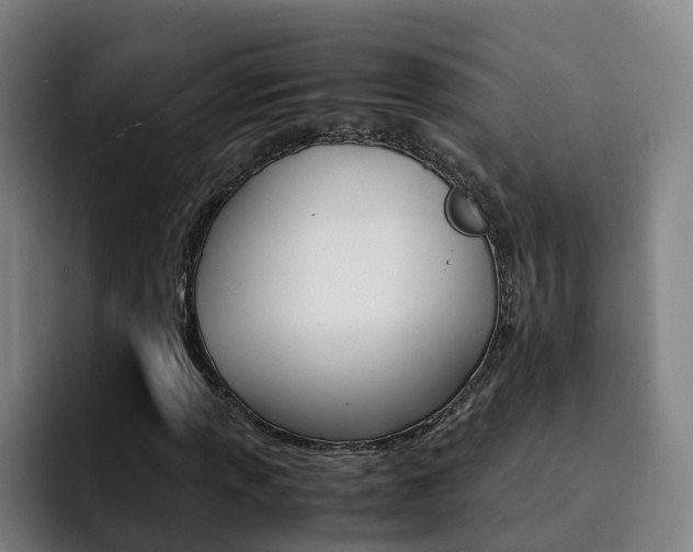 X0000093101013200709260923
