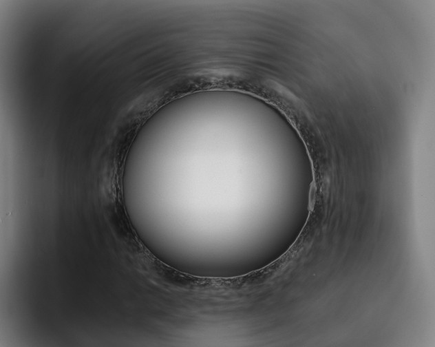X0000093101014200709260923