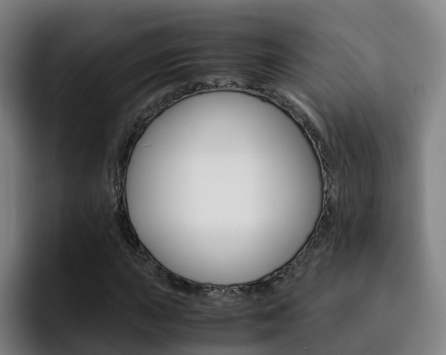 X0000093101015200709260923