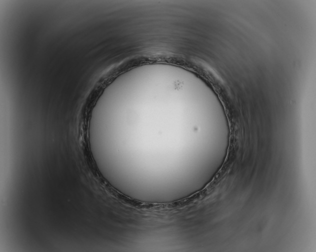 X0000093101016200709260923