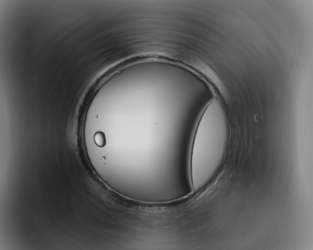 X0000093101020200709260923