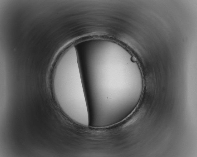 X0000093101021200709260923