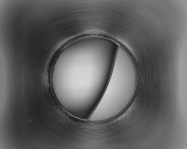 X0000093101022200709260923