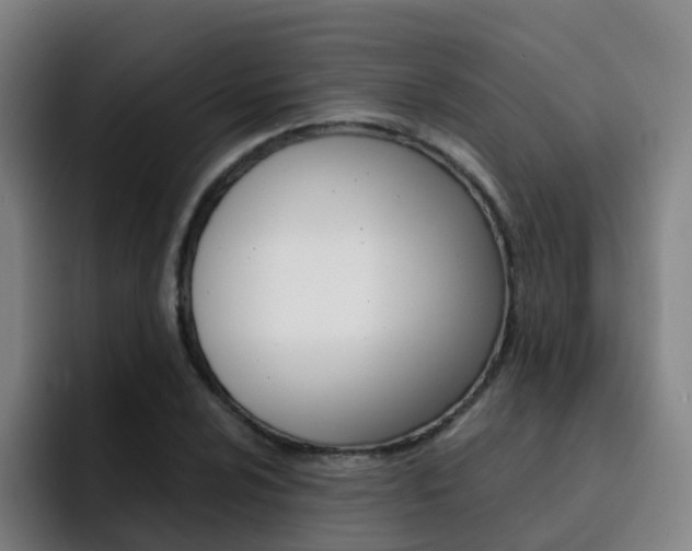 X0000093101024200709260923