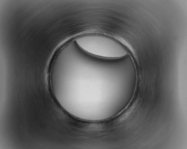 X0000093101029200709260923