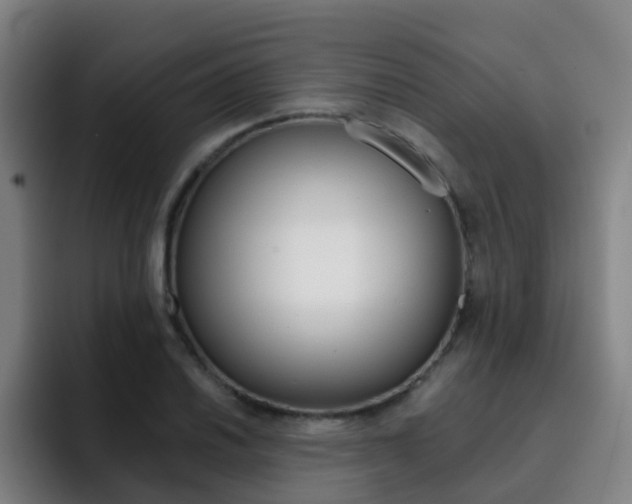 X0000093101030200709260923
