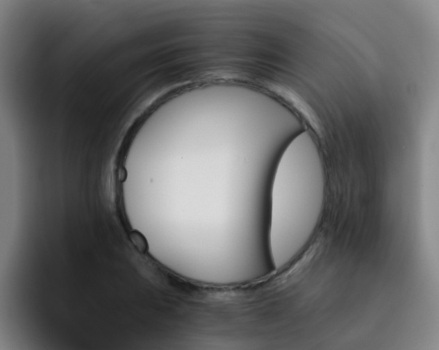X0000093101031200709260923