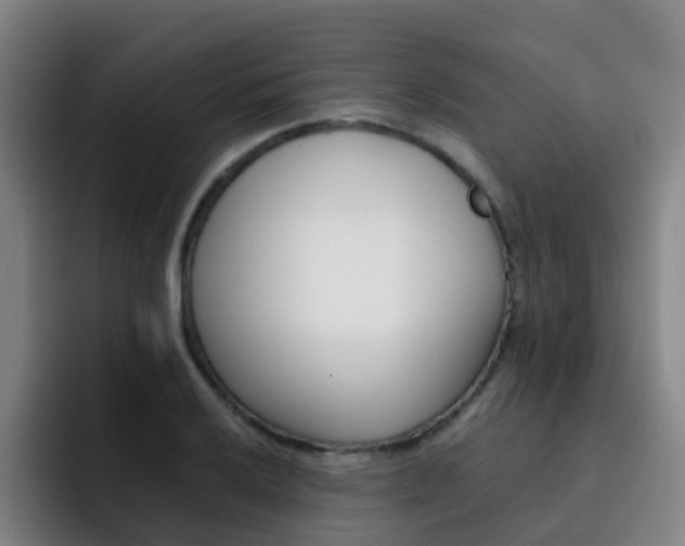 X0000093101032200709260923