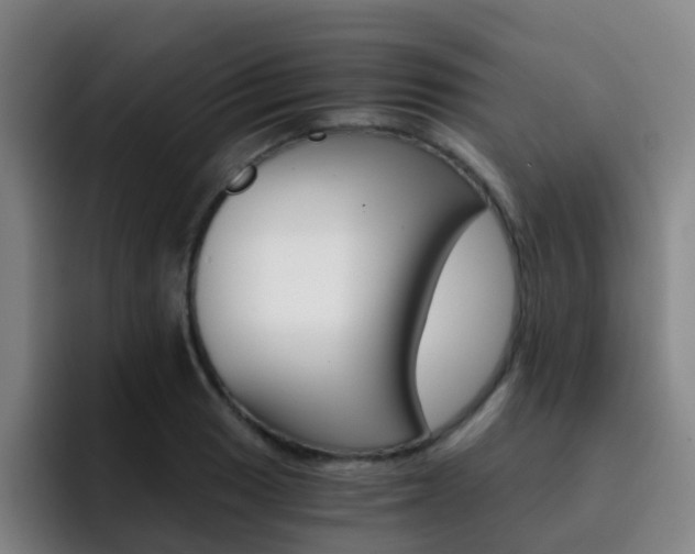 X0000093101033200709260923