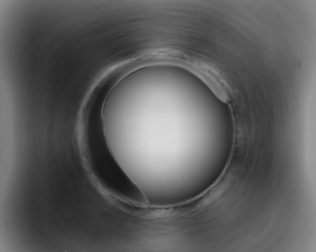 X0000093101038200709260923