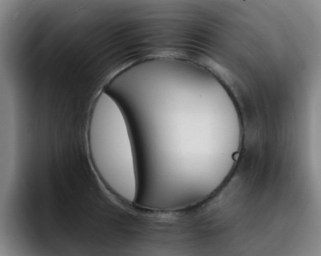 X0000093101041200709260923