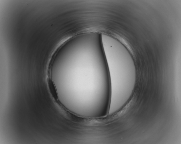 X0000093101042200709260923