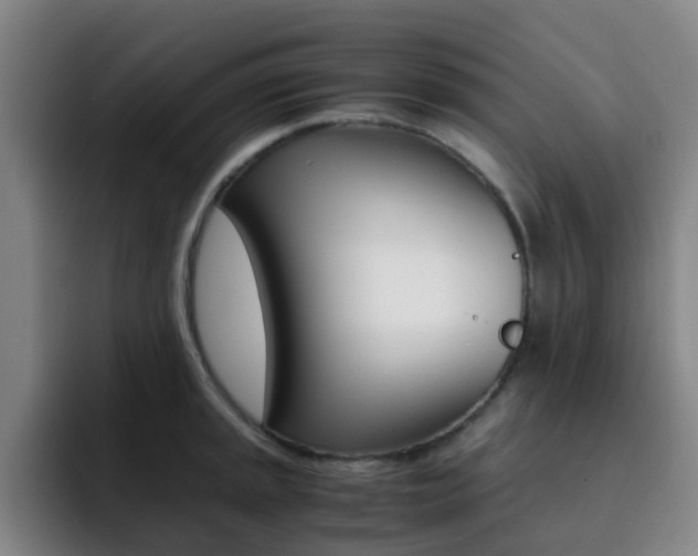 X0000093101045200709260923