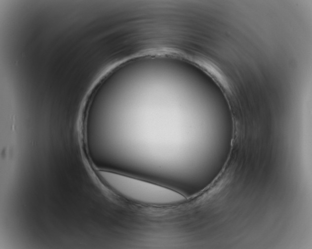 X0000093101046200709260923