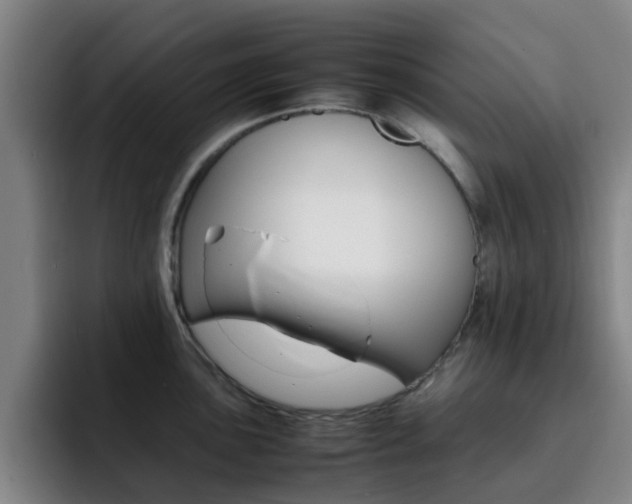 X0000093101051200709260924