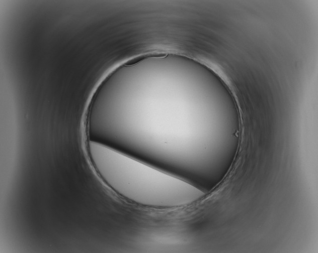 X0000093101056200709260924