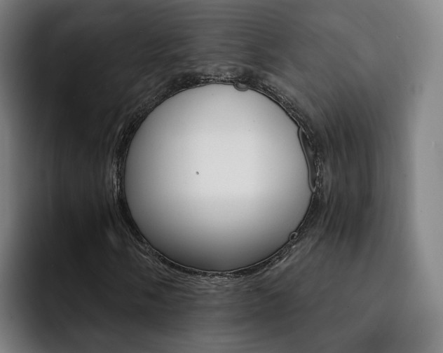 X0000093101058200709260923
