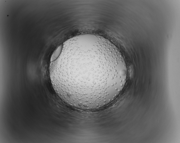 X0000093101059200709260923