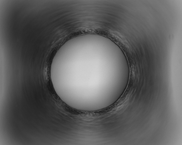 X0000093101060200709260923