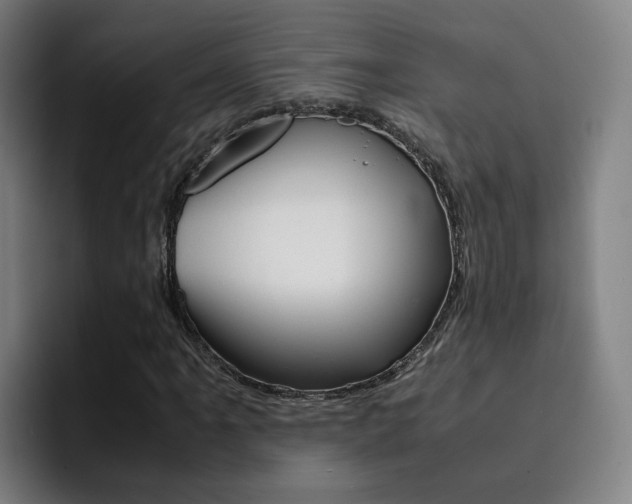 X0000093101061200709260923