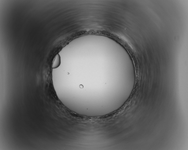 X0000093101063200709260923