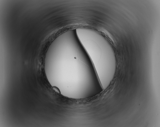 X0000093101064200709260923