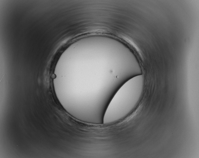 X0000093101067200709260923