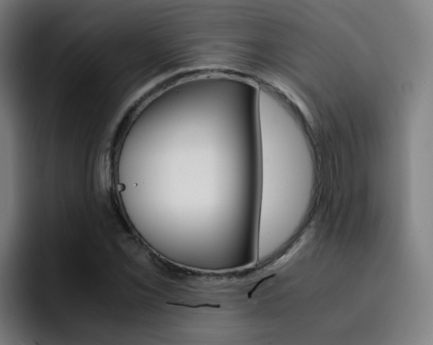 X0000093101069200709260923