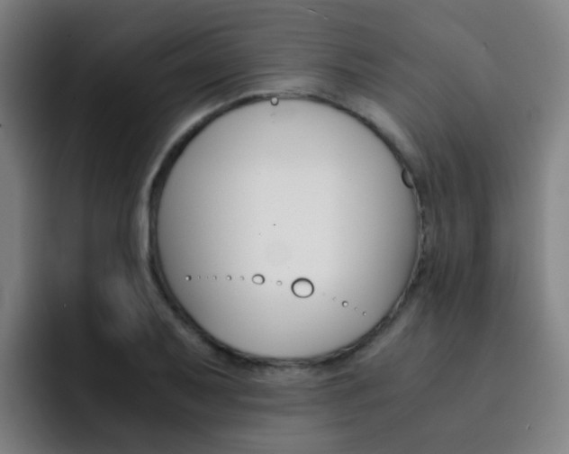 X0000093101079200709260923