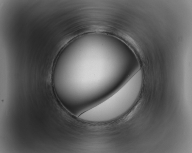 X0000093101081200709260923
