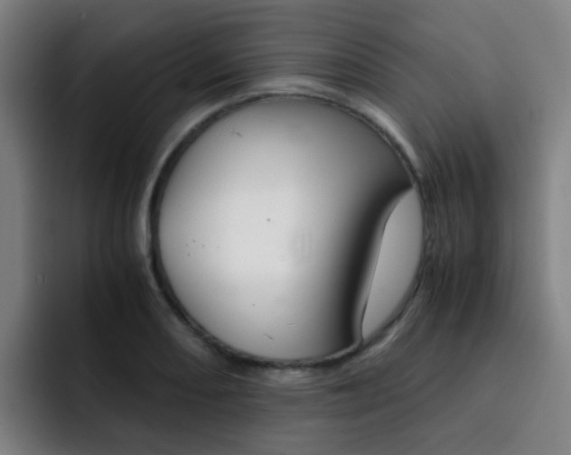 X0000093101082200709260923