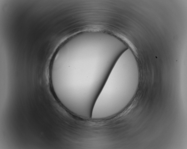 X0000093101083200709260923