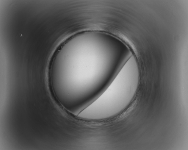 X0000093101085200709260923