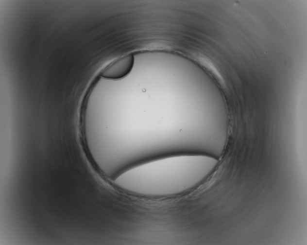 X0000093101087200709260923