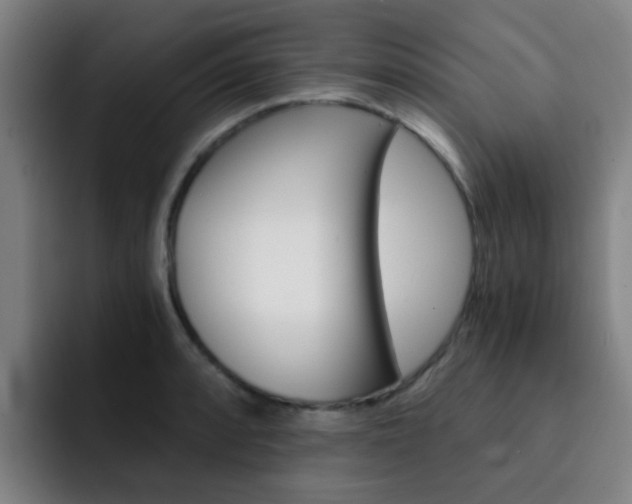 X0000093101088200709260923